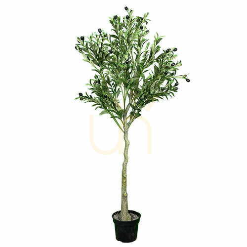 Verifica Măslin artificial Green Designers Oliwka 150 cm GD4324