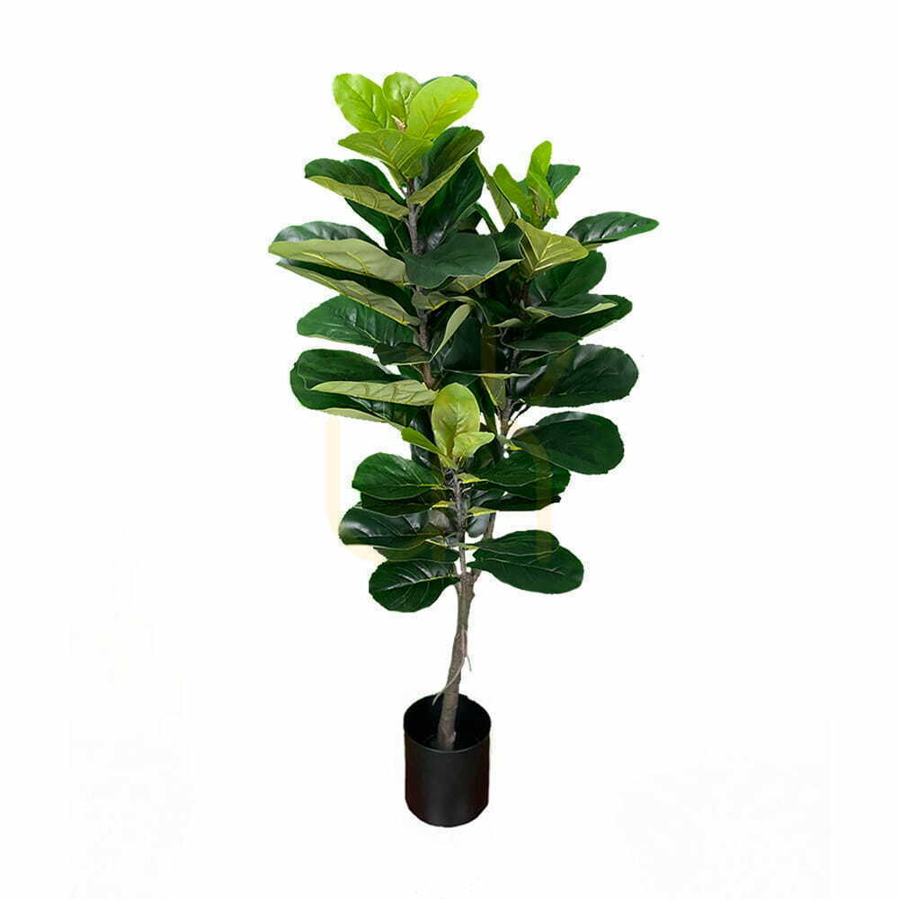 Verifica Plantă artificială Ficus 150cm Plantă artificială Ficus 150cm