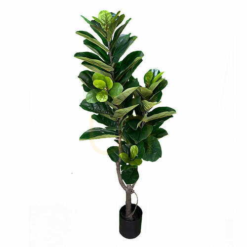 Verifica Plantă artificială Ficus 180cm