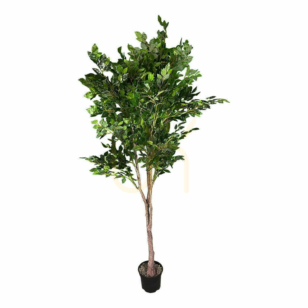 Verifica Planta artificială Ficus Benjamin 180cm Planta artificială Ficus Benjamin 180cm