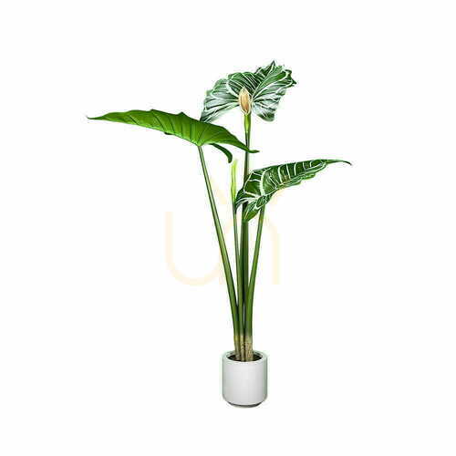 Verifica Plantă artificială Aloasia 140cm