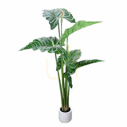 Verifica Plantă artificială Alocasia Green Designers 170 cm GD4043