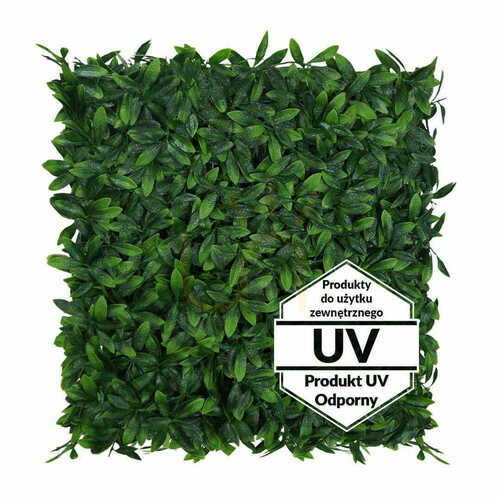 Verifica Panou verde artificial UV Laur 50x50cm