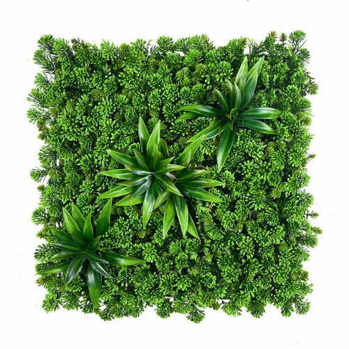 Verifica Zid verde suculent 50x50cm