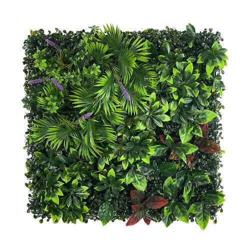 Verifica Perete verde Pasăre de paradis 50x50cm