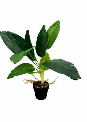 Verifica Plantă artificială Difenbachia 55 cm