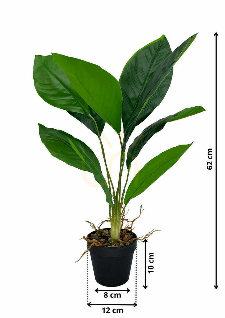 Vedere Plantă artificială Aspidistra 62 cm Plantă artificială Aspidistra 62 cm