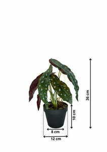 Planta artificială Begonia Coral 36 cm small 1