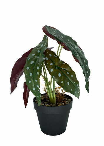 Verifica Planta artificială Begonia Coral 36 cm