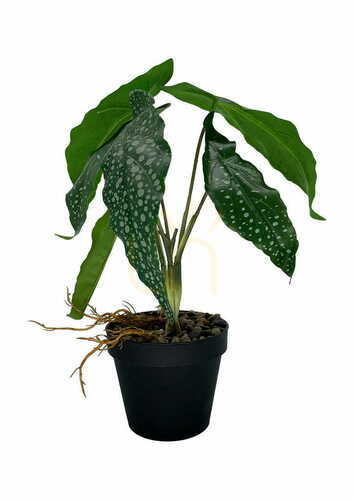 Verifica Plantă artificială Begonia 26 cm