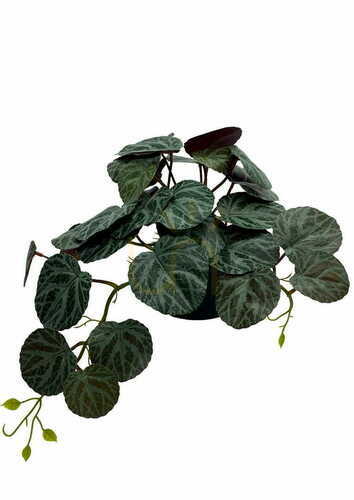 Verifica Plantă artificială Pilea 40 cm
