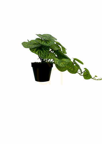Verifica Plantă artificială Pilea 37 cm frunze textile ghiveci de cultură Green Designers GD 3456