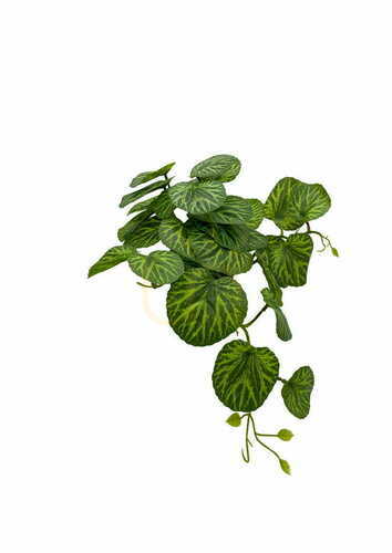Verifica Plantă artificială Pilea 37 cm frunze textile ghiveci de cultură Green Designers GD 3456