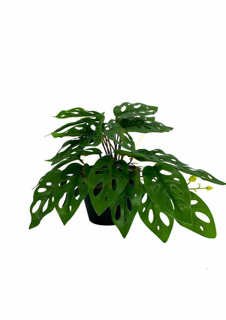 Mesterséges Monstera Majom növény 25 cm