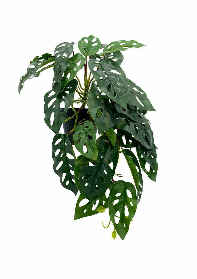 previzualizare Plantă artificială Monstera Monkey 44 cm Plantă artificială Monstera Monkey 44 cm