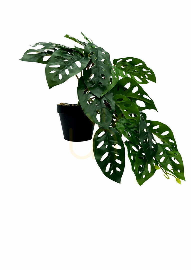Afişa Plantă artificială Monstera Monkey 44 cm Plantă artificială Monstera Monkey 44 cm