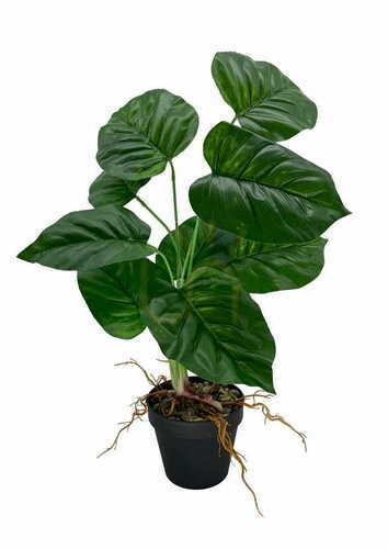 Verifica Plantă artificială Maranta 44 cm