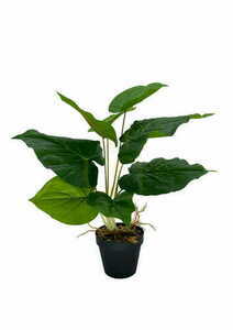 Plantă artificială Scindapsus 48 cm small 3