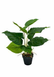 Plantă artificială Scindapsus 48 cm small 0
