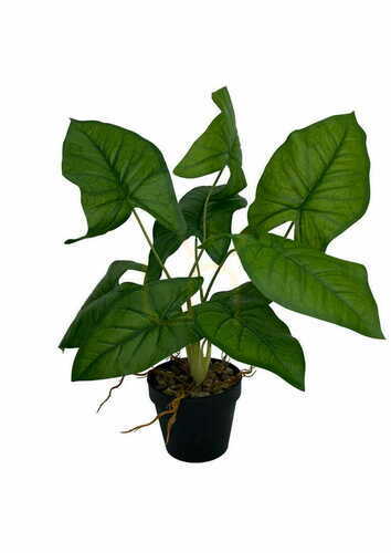 Verifica Plantă artificială Syngonium 56 cm