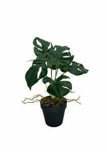 Plantă artificială Monstera 39 cm small 2