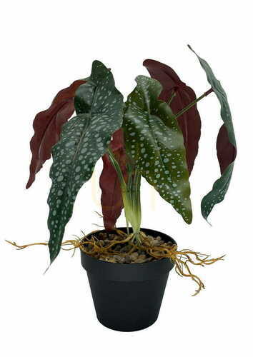 Verifica Begonia artificială Rosie Plant 35 cm