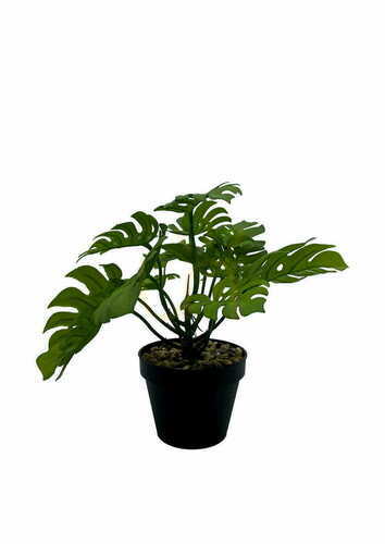 Verifica Plantă artificială Monstera 20 cm