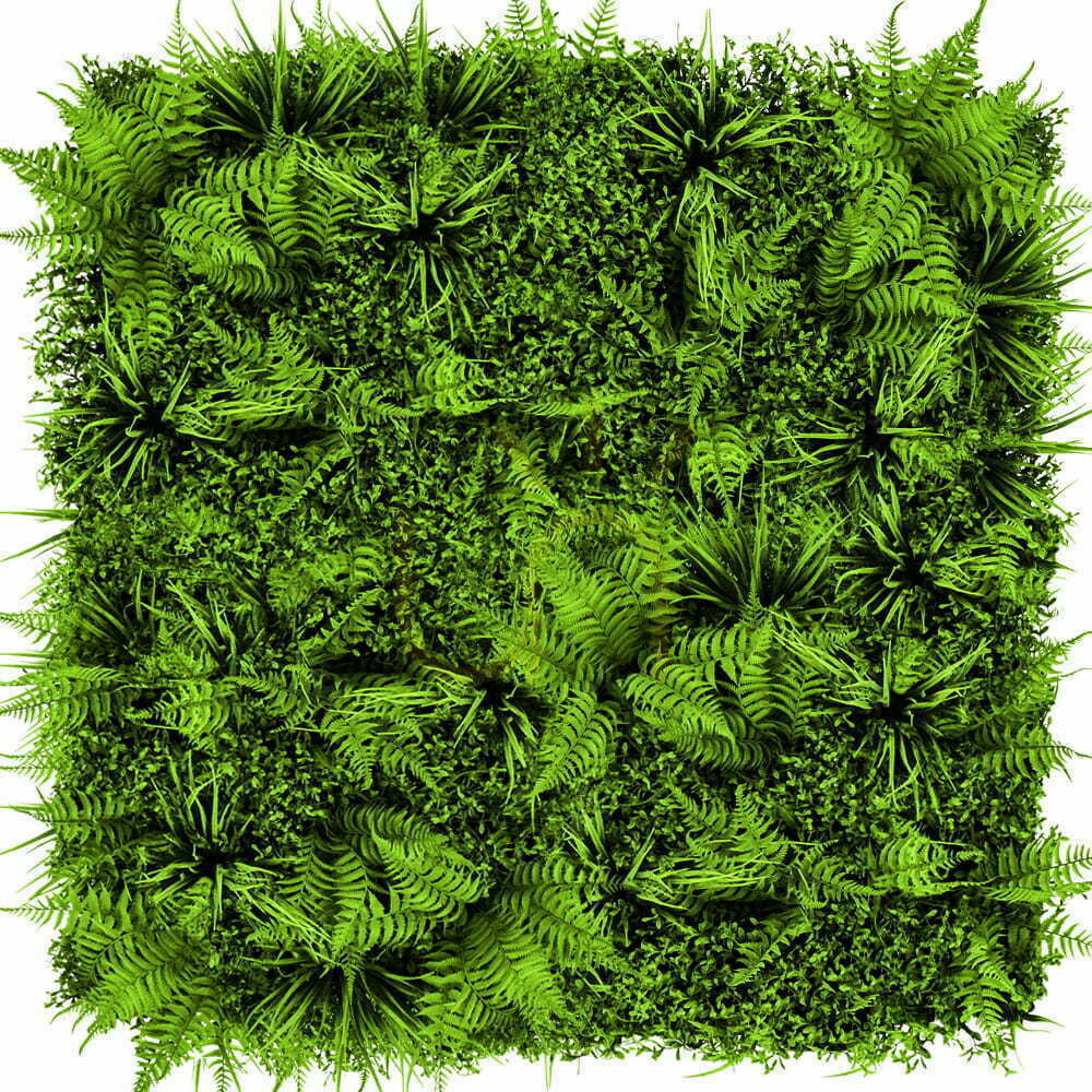 Vedere Feriga de perete verde 50x50cm Feriga de perete verde 50x50cm