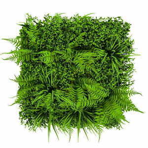 Feriga de perete verde 50x50cm 0 Feriga de perete verde 50x50cm small 0