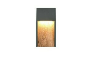 Lampă de perete pentru exterior Trio SALMON small 1