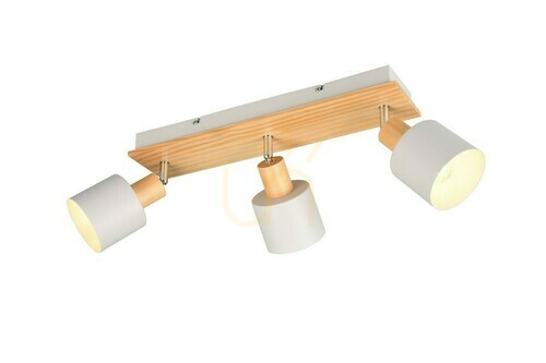 Verifica Trio SHANTI Plafond