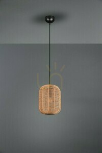 Lampă suspendată Trio RUNA 303000132 small 2