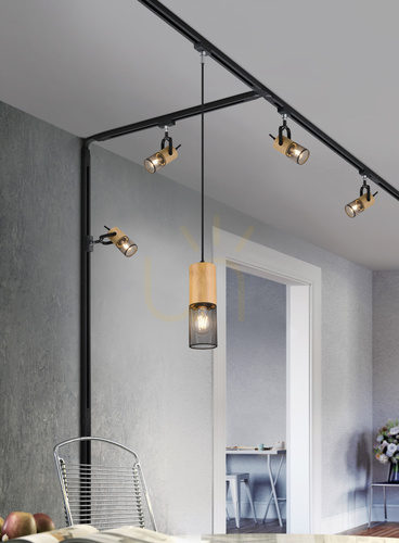 Verifica Pendul pentru șină Trio DUOLINE 73430132, negru mat și lemn, 1×E27