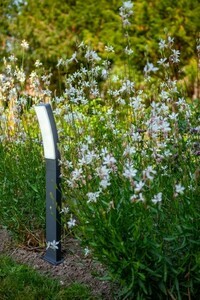 Stâlp exterior LED Lutec KIRA antracit 19W 1200lm 74 cm 7288906118 small 3
