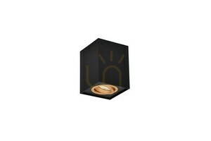 Lentile de plafon Trio BISCUIT 613000180 small 2