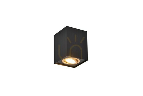 Verifica Lentile de plafon Trio BISCUIT 613000180