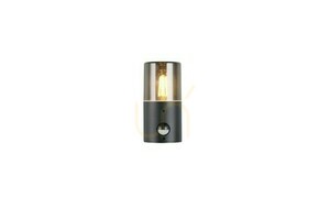 Lampă de perete pentru exterior Trio HOOSIC - SENSOR DE MIȘCARE 222260132 small 2