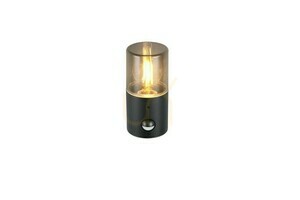 Lampă de perete pentru exterior Trio HOOSIC - SENSOR DE MIȘCARE 222260132 small 4