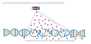 CARE LAB Lampă de dezinfecție UV-C A-69-UVC-60-LAB-18W SET + programator temporizator small 1