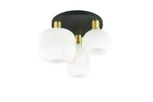 Trio DIVA Plafond 619800308 small 4
