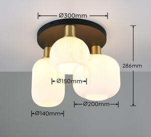 Trio DIVA Plafond 619800308 small 6