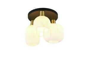 Trio DIVA Plafond 619800308 small 0