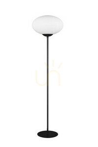Lampă de podea Trio FOMENTO 463100132 small 3