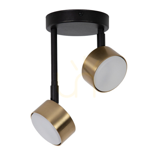 Verifica Plafonieră Sigma NEMO 2xGX53 negru aur periat 41087