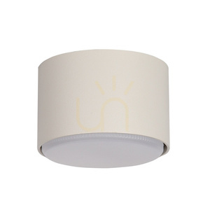 Plafonieră Sigma TUBO gri 1xGX53 12W 40975 small 0