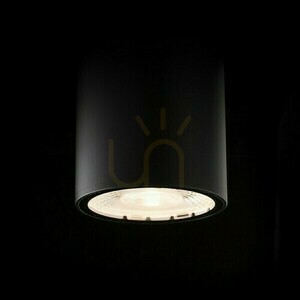 Plafonds În aer liber Cornelia 10 Plafon negru 230 V Led 15 W Ip65 3000 K small 3