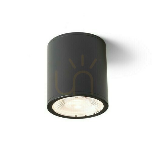 Verifica Plafonds În aer liber Cornelia 10 Plafon negru 230 V Led 15 W Ip65 3000 K