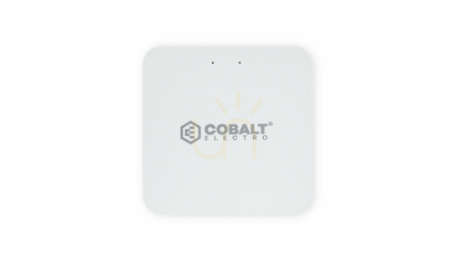 Verifica Cobalt Electro Zigbee 3.0 Gateway