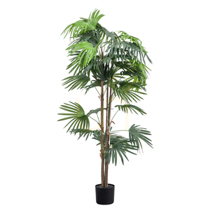 Palmier chinezesc evantai artificial Gallery Direct verde 168 cm 5059413693946 0 Palmier chinezesc evantai artificial Gallery Direct verde 168 cm 5059413693946 small 0