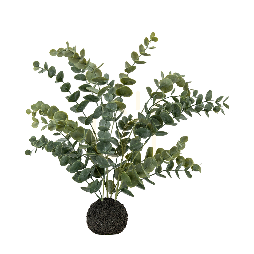 Afişa Eucalipt artificial Gallery Direct verde-gri 51 cm 5059413872792 Eucalipt artificial Gallery Direct verde-gri 51 cm 5059413872792